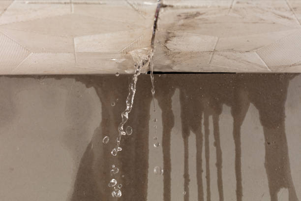 Professional Burst Pipe Cleanup technician working in Lake Worth Beach, FL
